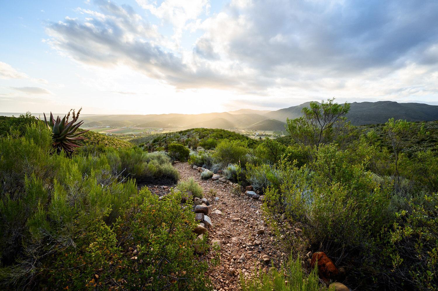 Le Petit Karoo Ranch Bed & Breakfast Oudtshoorn Exterior photo